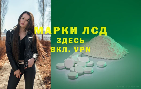 спиды Аркадак