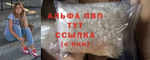 спиды Аркадак